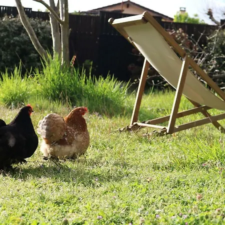 Avec Salle De Bain Privative Dans Vignoble
